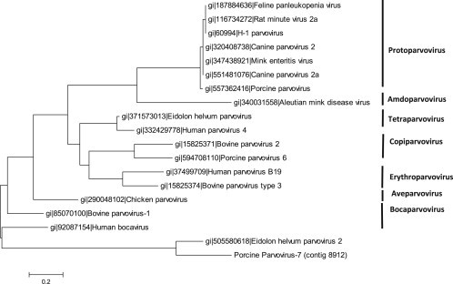 Fig. 3