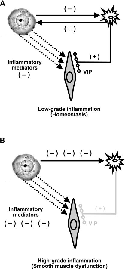 Fig. 9.