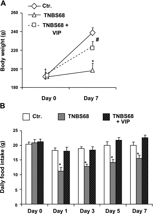 Fig. 8.