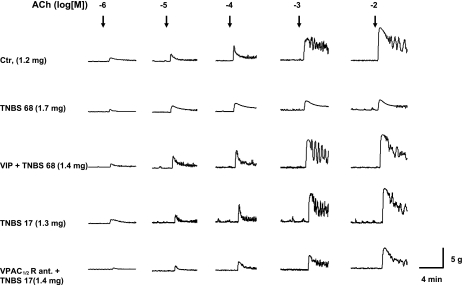 Fig. 5.