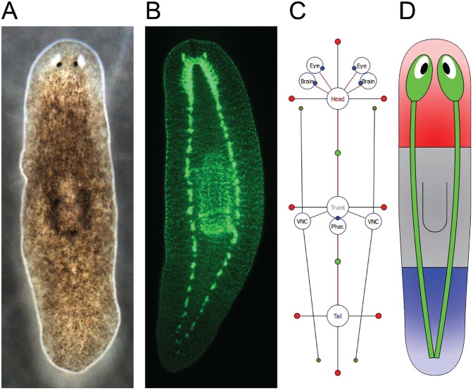 Fig. 1.