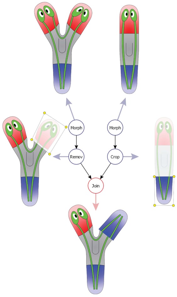 Fig. 4.