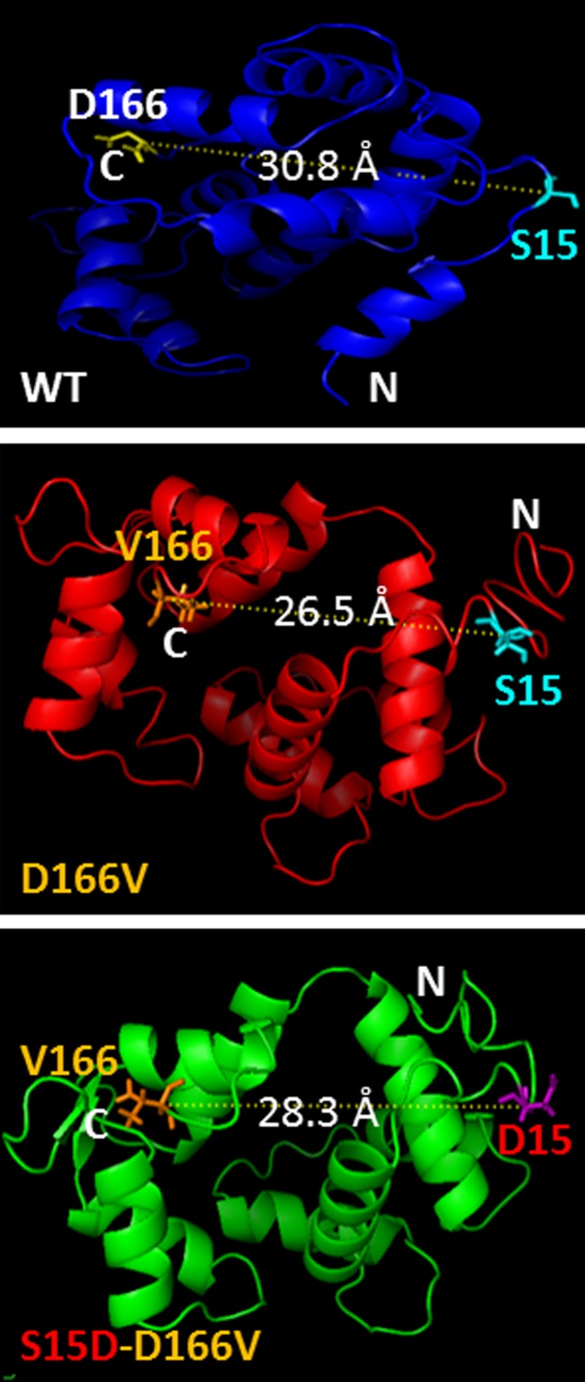 Fig. 2