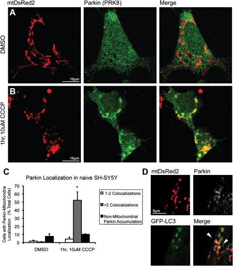 Figure 4.