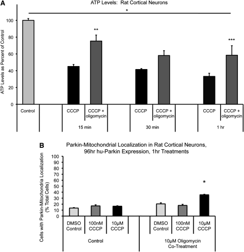 Figure 7.