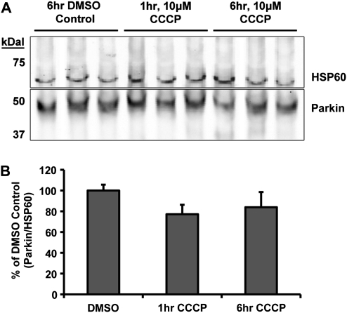 Figure 2.