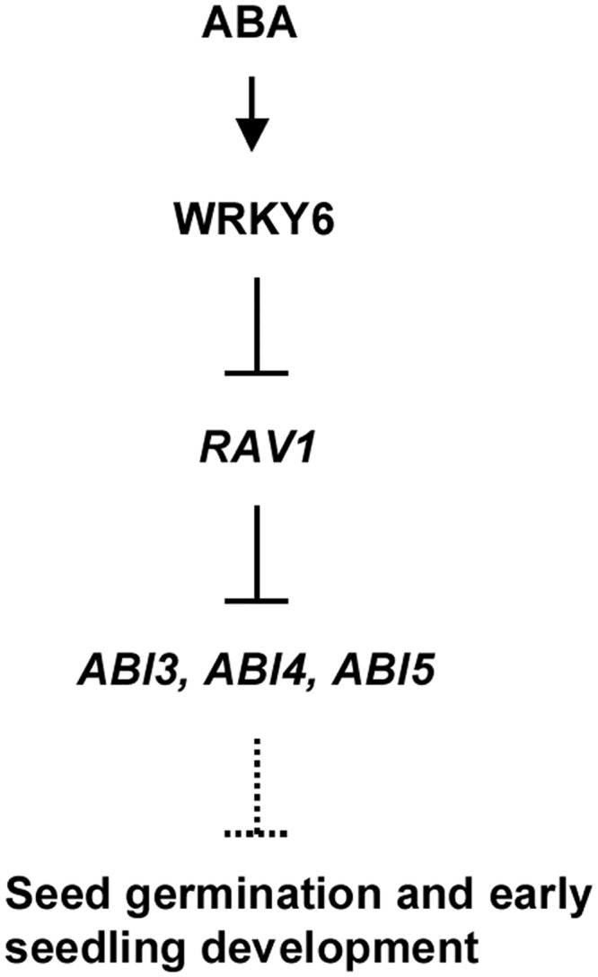 Fig 12