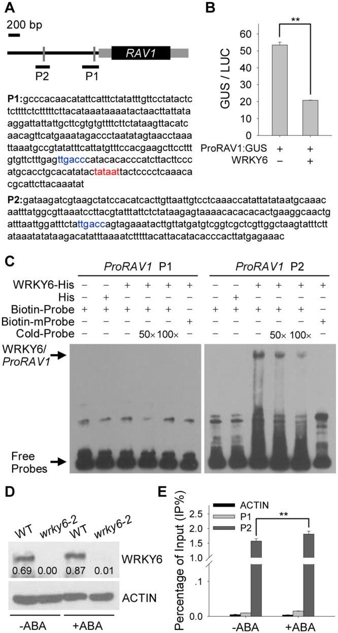 Fig 5