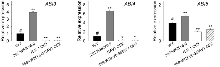 Fig 7