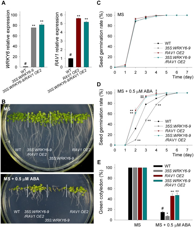 Fig 6