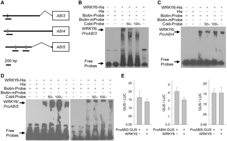 Fig 11