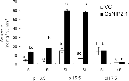 Figure 5.