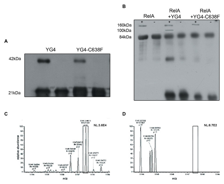 Figure 4