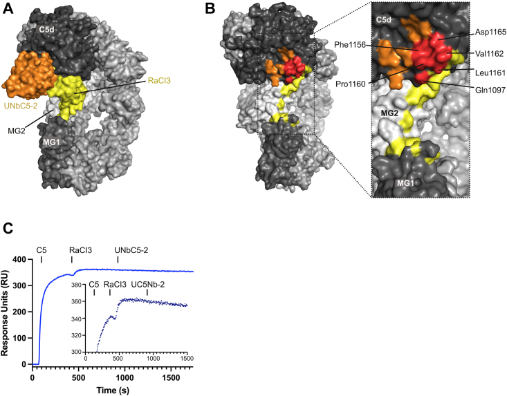 Figure 4