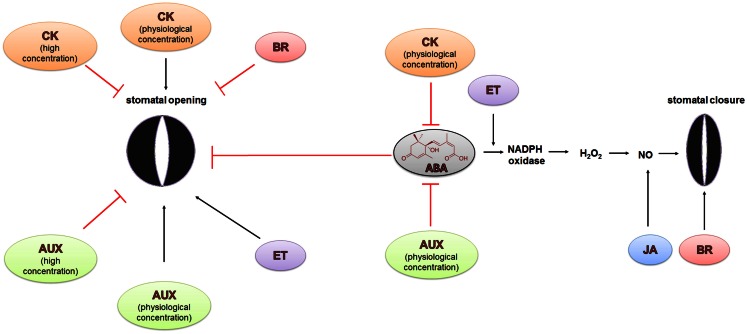 Figure 6