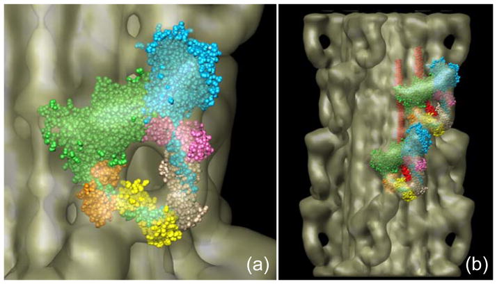 Figure 4