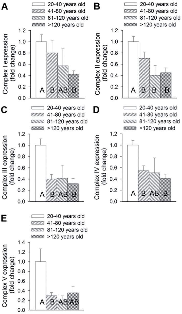 Figure 5.