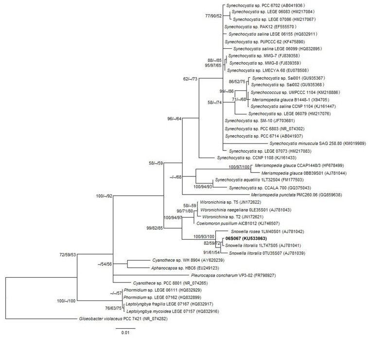 Figure 3