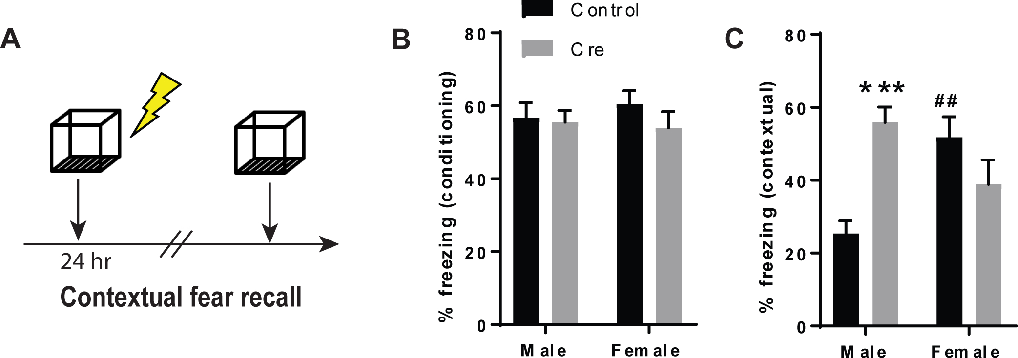 Figure 2: