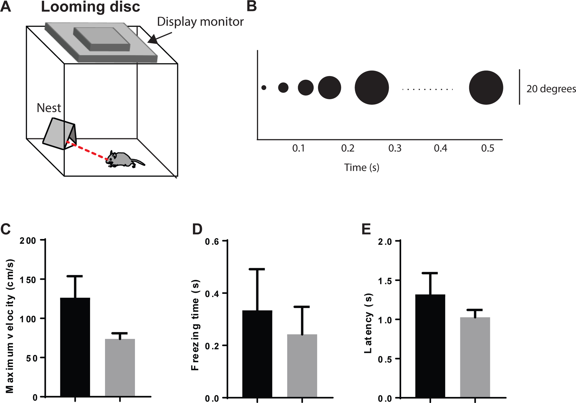 Figure 7: