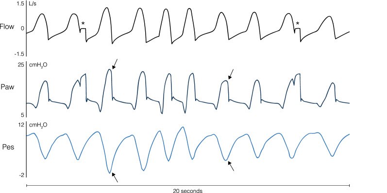 Fig. 1