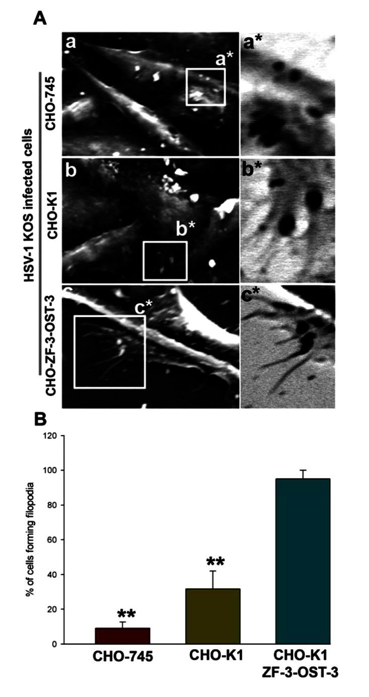 Fig. (2)