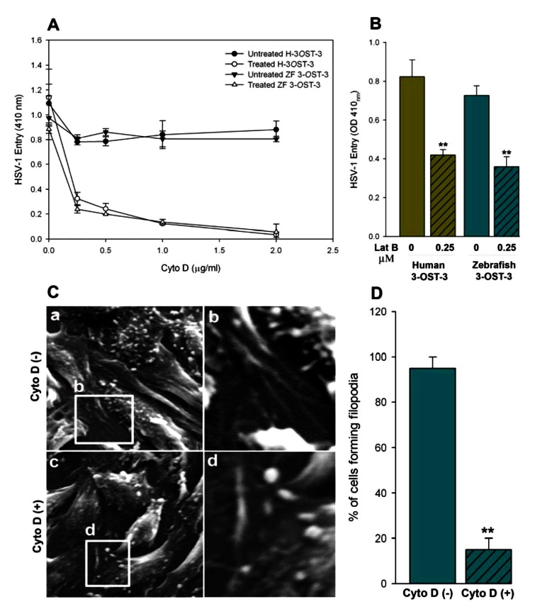 Fig. (3)