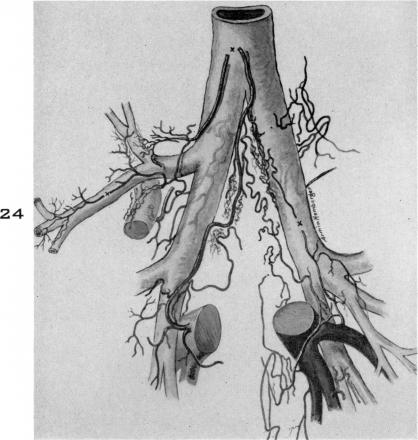 Fig. 24