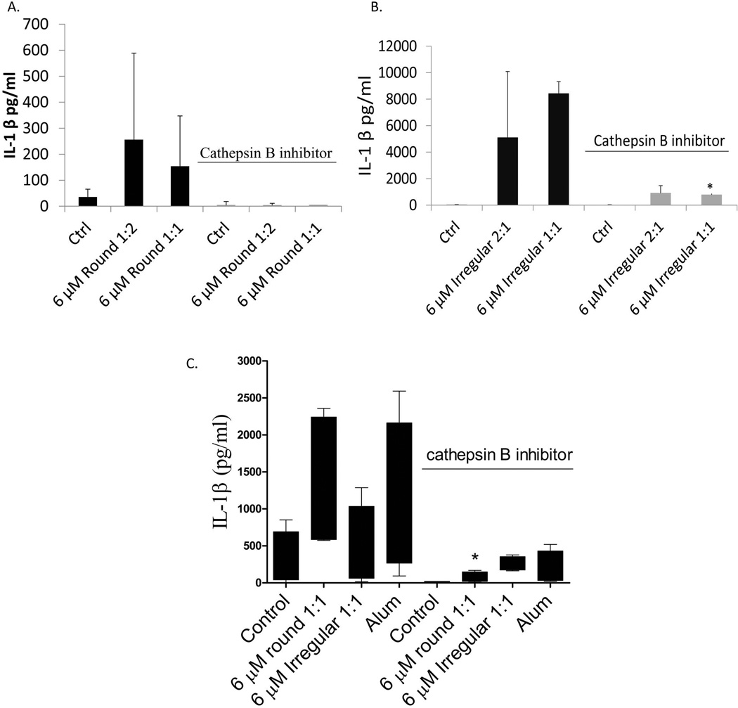 FIGURE 6