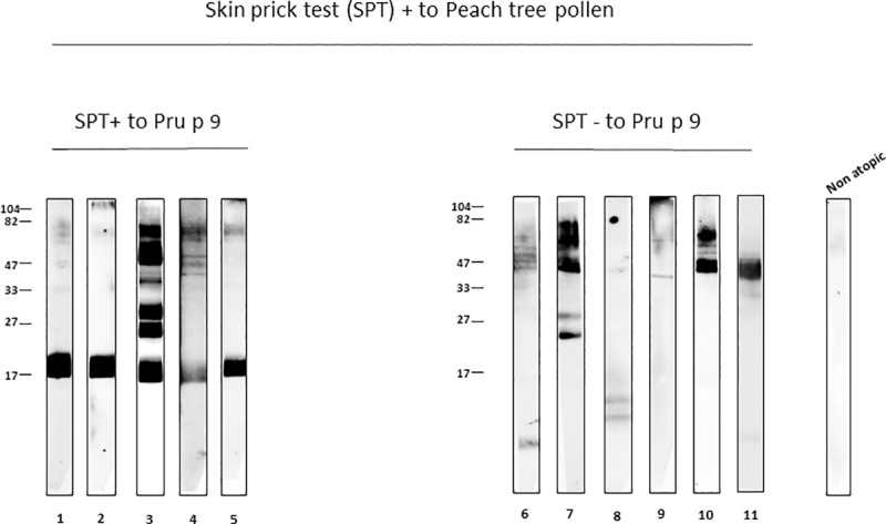 Fig 5