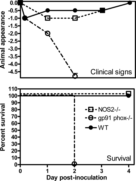 FIG. 1.