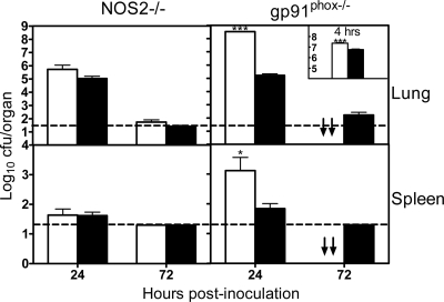 FIG. 2.