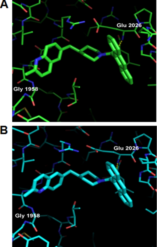 FIGURE 7.