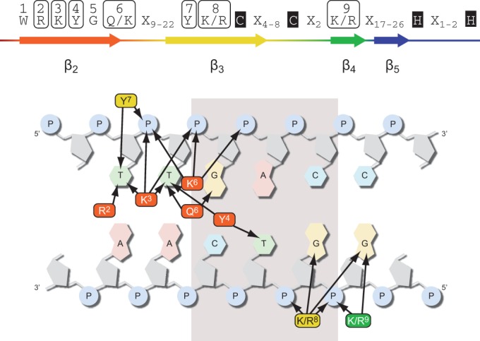 Figure 7.