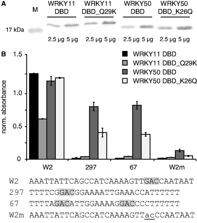 Figure 6.