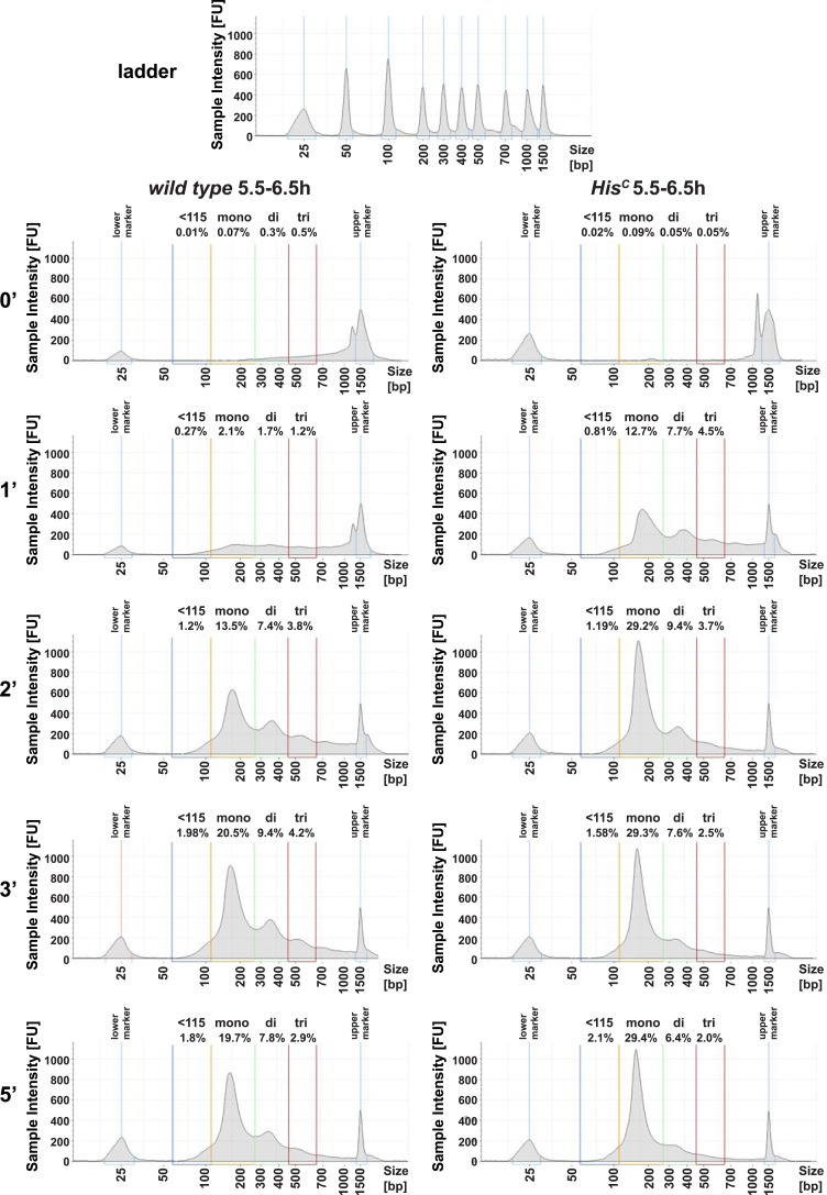 Figure 1—figure supplement 1.