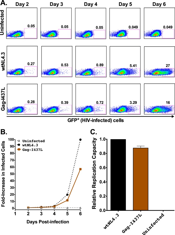 FIG 2