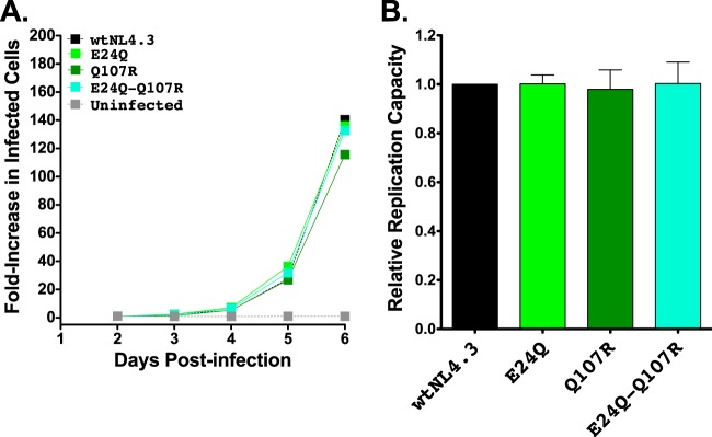 FIG 6