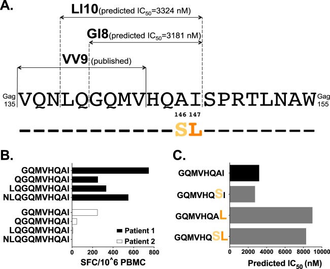 FIG 4