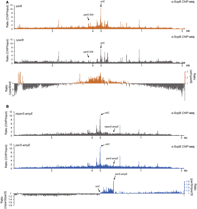 Figure 6