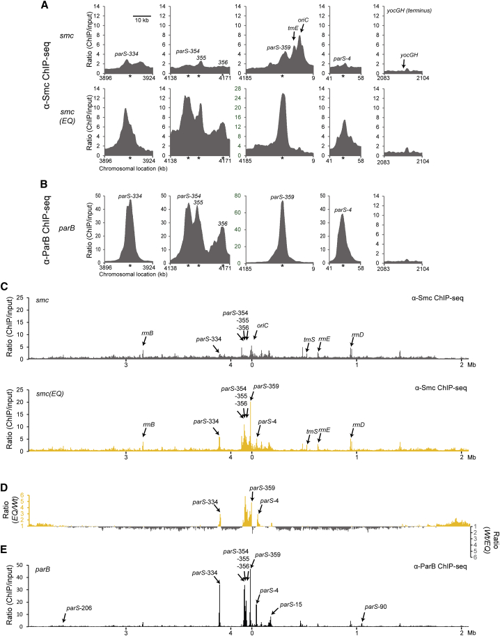 Figure 2