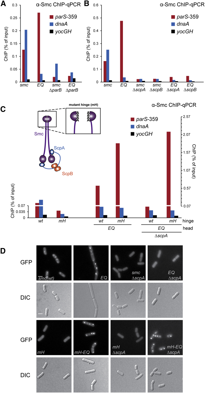 Figure 3