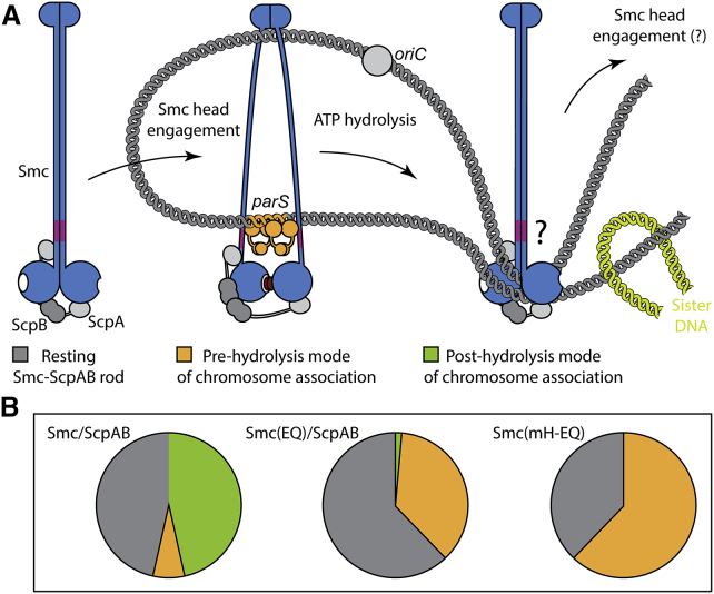 Figure 7