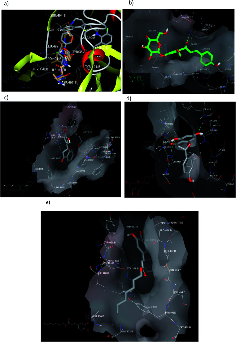 Fig. 7