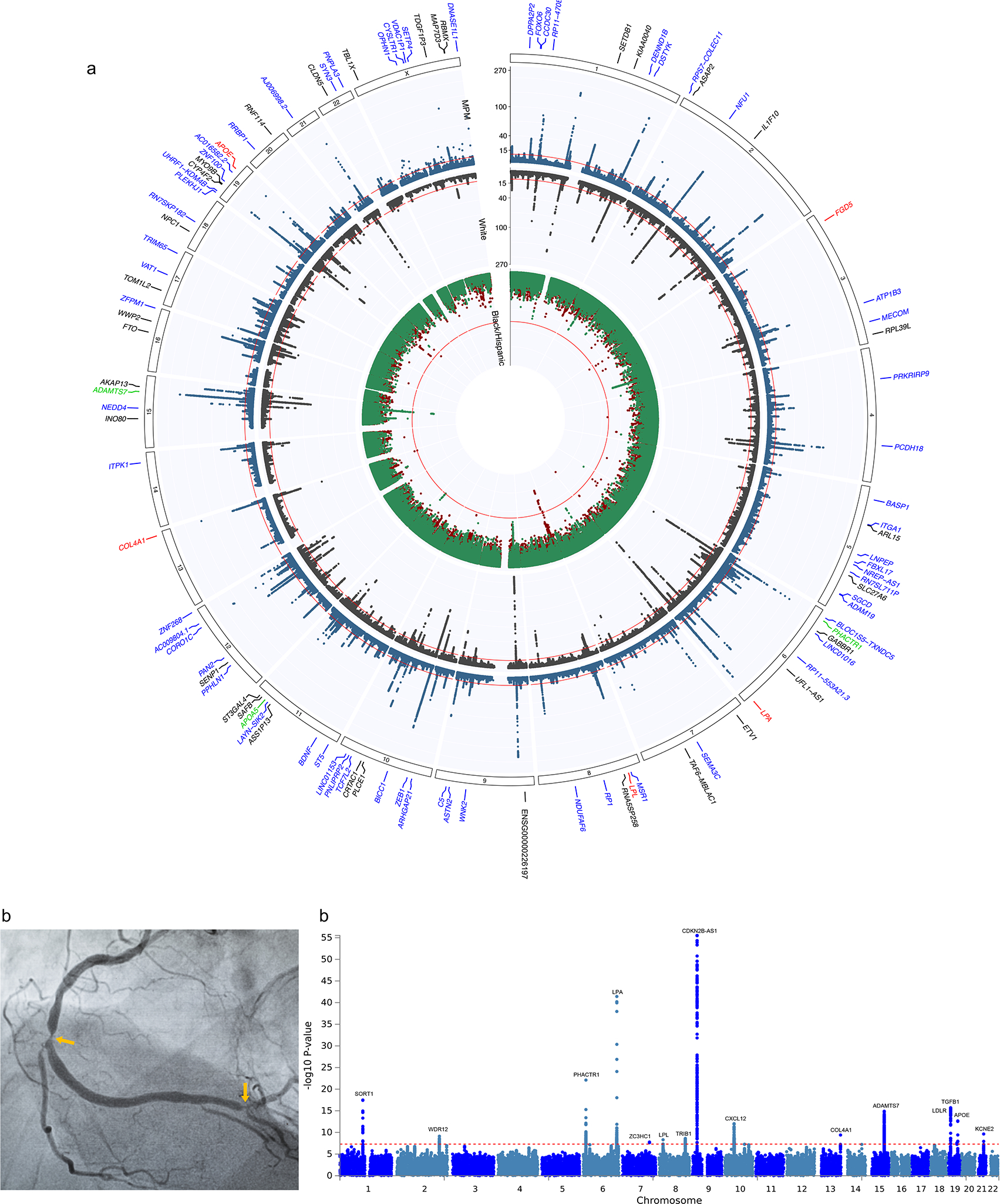 Fig. 2: