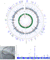 Fig. 2: