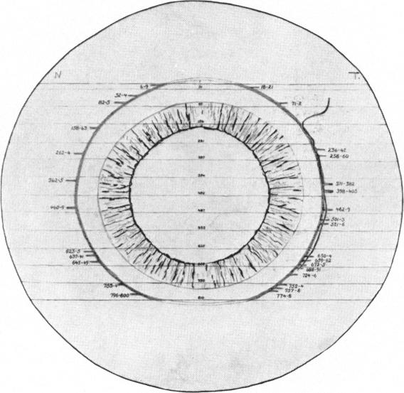 Plate I