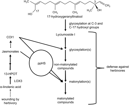 Figure 9.