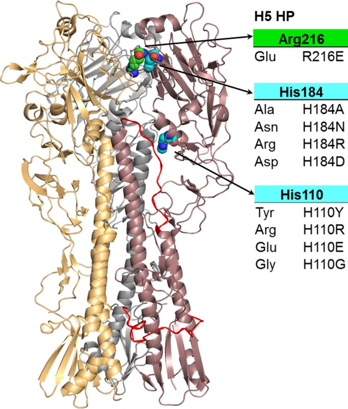 FIG 1