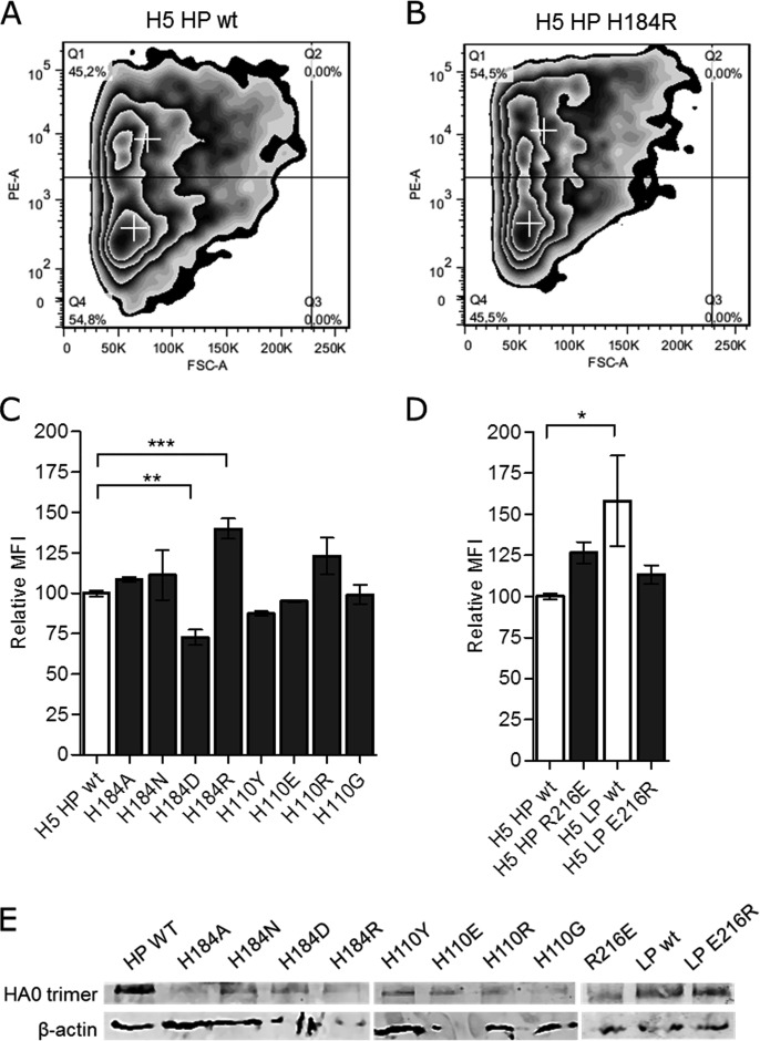 FIG 2